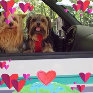 Meet your Posher, Judy